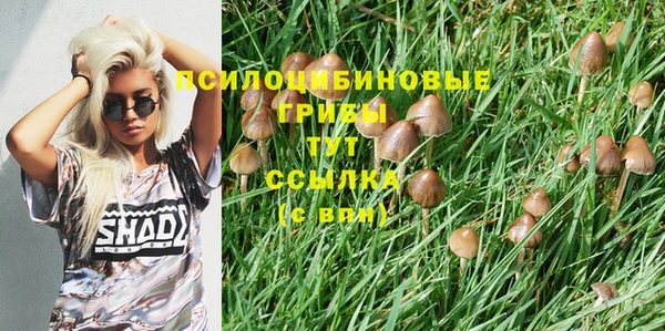 наркотики Рославль